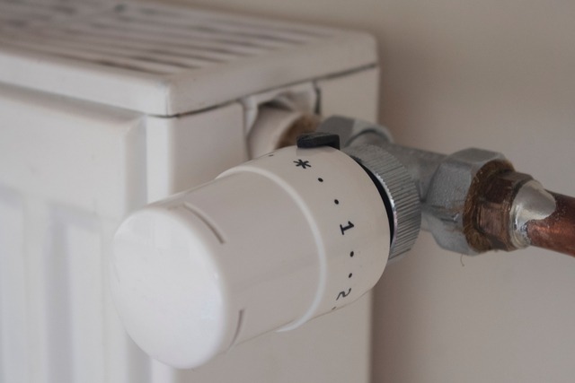 640 Adjusting The Radiator Temperature Using A Thermostat In An Apartment With Central Heating