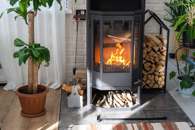 Black Metal Steel Fireplace Stove With Fire And Firewood In Gree